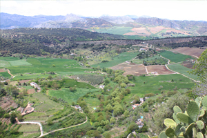 ronda valley